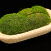 Mossed Bread Bowls (40", 29" 20" & 9") - Image 8