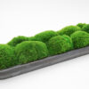 Mossed Bread Bowls (40", 29" 20" & 9") - Image 10