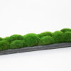 Mossed Bread Bowls (40", 29" 20" & 9") - Image 11