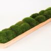 Mossed Bread Bowls (40", 29" 20" & 9") - Image 3