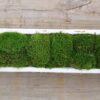 Mossed Bread Bowls (40", 29" 20" & 9") - Image 4