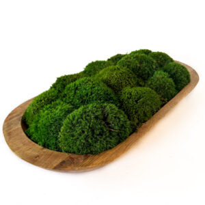 Moss Medium Mango Wood Bowl