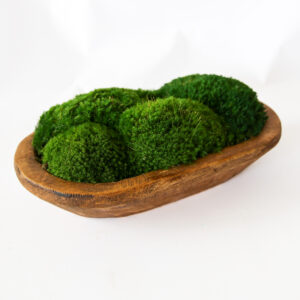 Preserved Moss Petite Wooden Dish