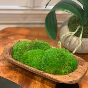Moss Petite Wooden Dish