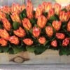 36" Protea Centerpiece