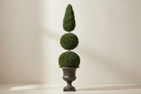 Handcrafted Custom Preserved Ball Cone Topiary for Designers