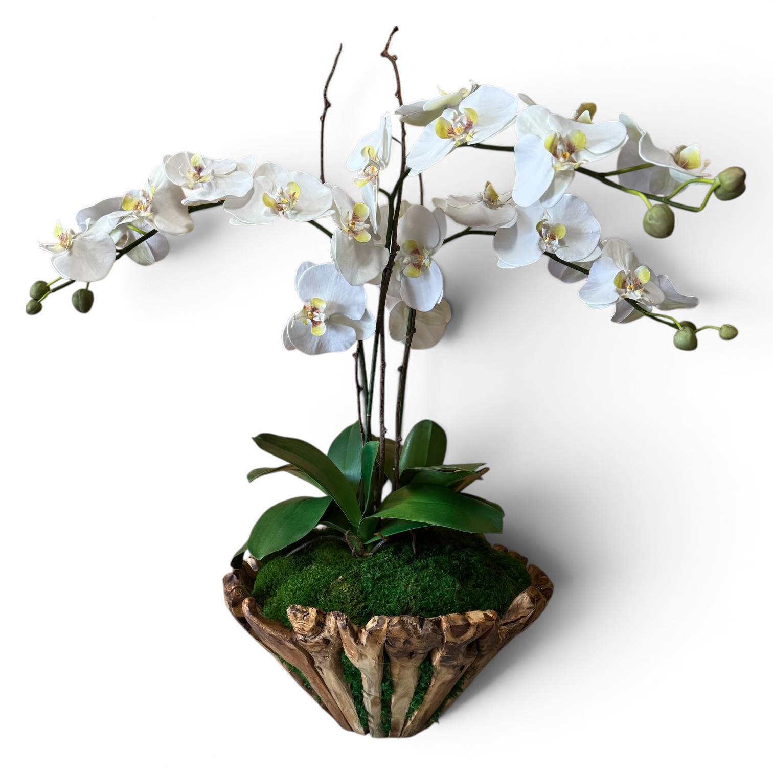 Large Orchid Branchy Bowl - Image 6