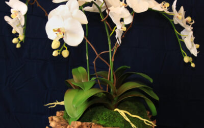 Large Orchid Branchy Bowl