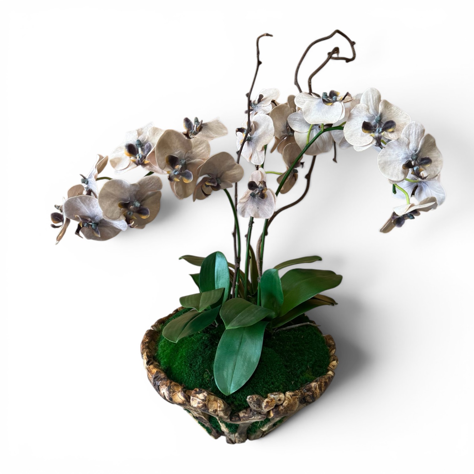 Large Orchid Branchy Bowl - Image 3