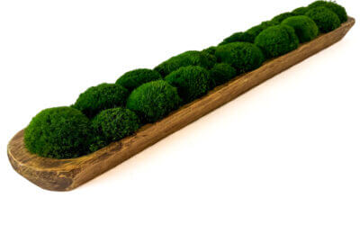 Moss Long Bread Bowl