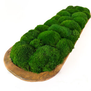 Preserved Mood Moss in Large Carved Bowl
