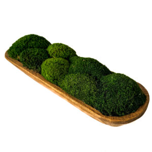 Mossed Bread Bowl 19"