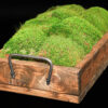 Moss Trays (Small, Medium & Large) - Image 3
