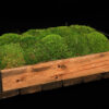 Moss Trays (Small, Medium & Large) - Image 2