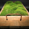 Moss Trays (Small, Medium & Large) - Image 4