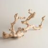 Sand Blasted Grapewood (min of 4) - Image 2