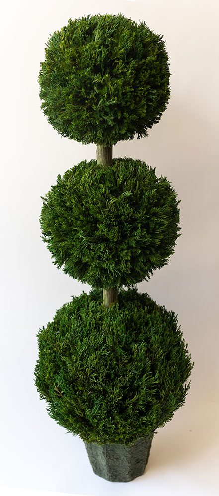 Preserved Topiary Tree and Hedge