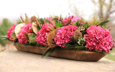 Raspberry LBB