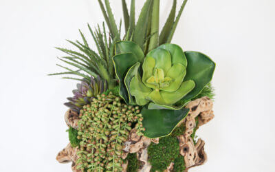 Grapevine 12″ Succulent Basket