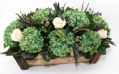Green Elegance