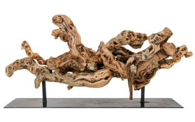 California Tumbled Grape Wood Root Sculpture – 24″ Long