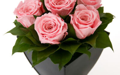 Preserved Roses in Azar