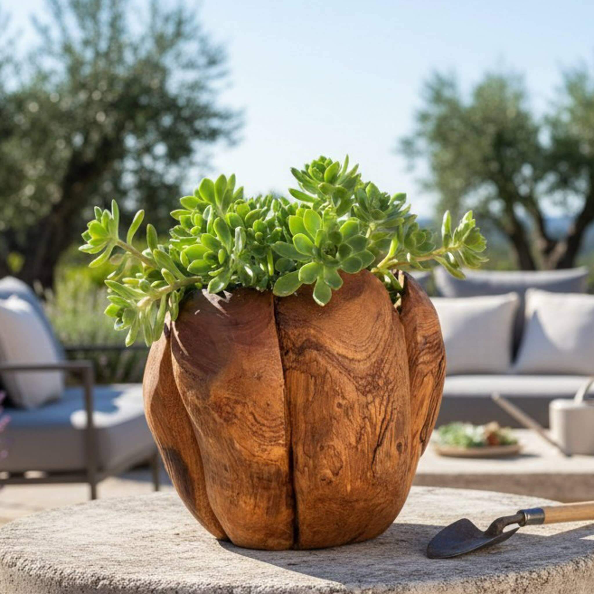 6" Lotus Teak Wood Planter - Image 5