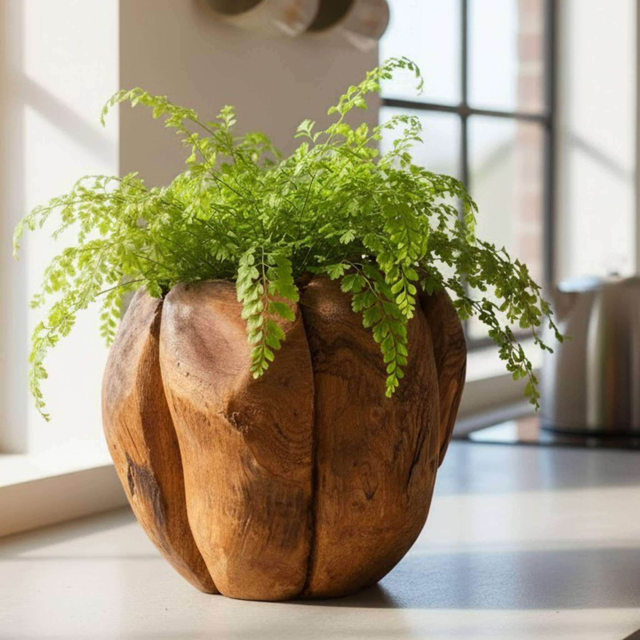 6" Lotus Teak Wood Planter - Image 7