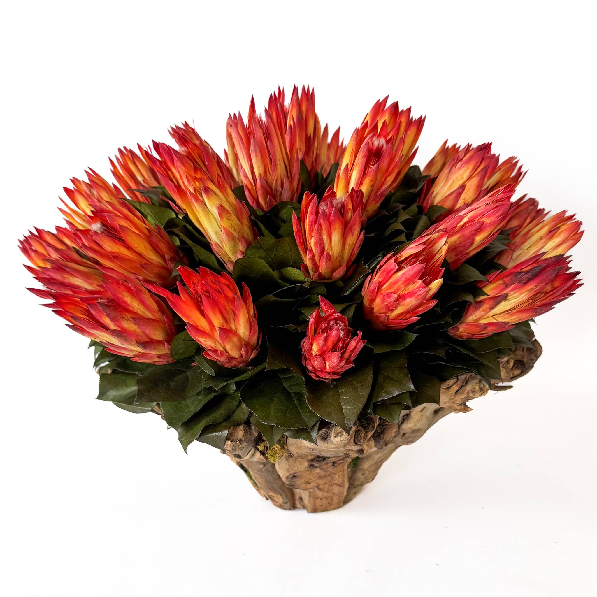 Protea & Moss Branchy Bowl