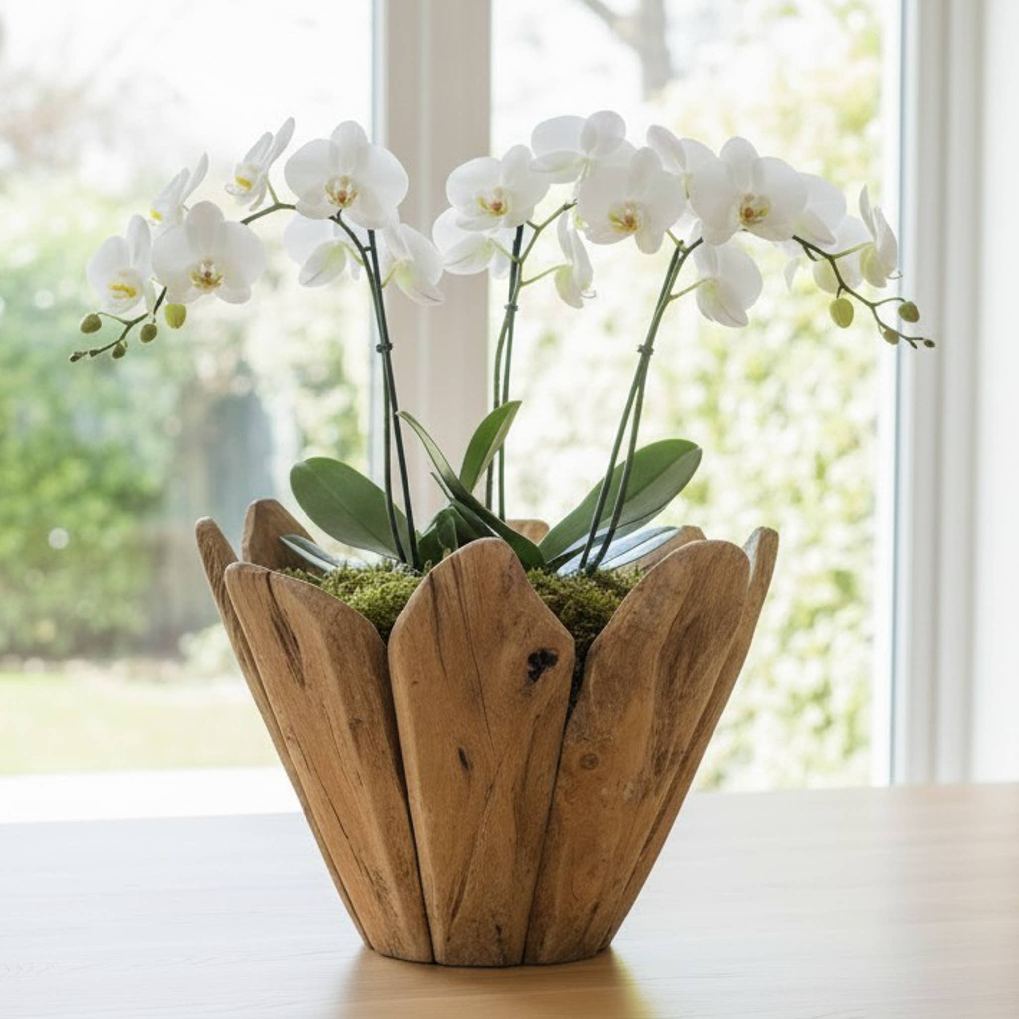 14″ Tulip Teak Wood Planter – alternate view