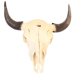 Bison Skull Wall Décor – Natural, Gold or Silver