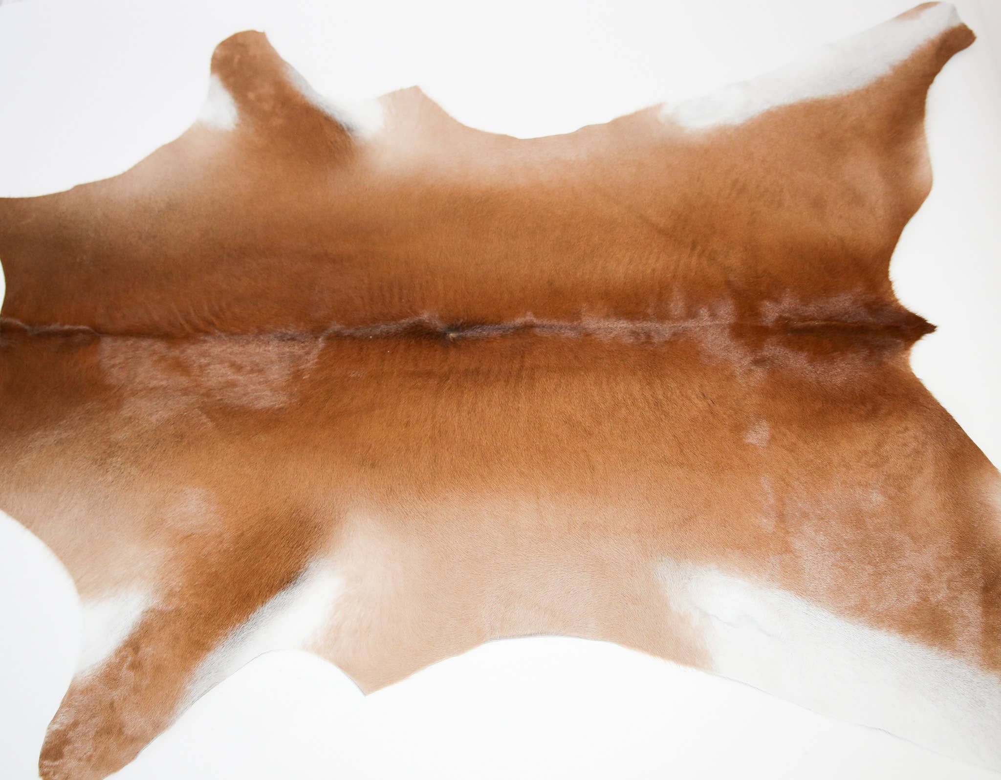 Calf Cowhide Accent Rug – alternate view