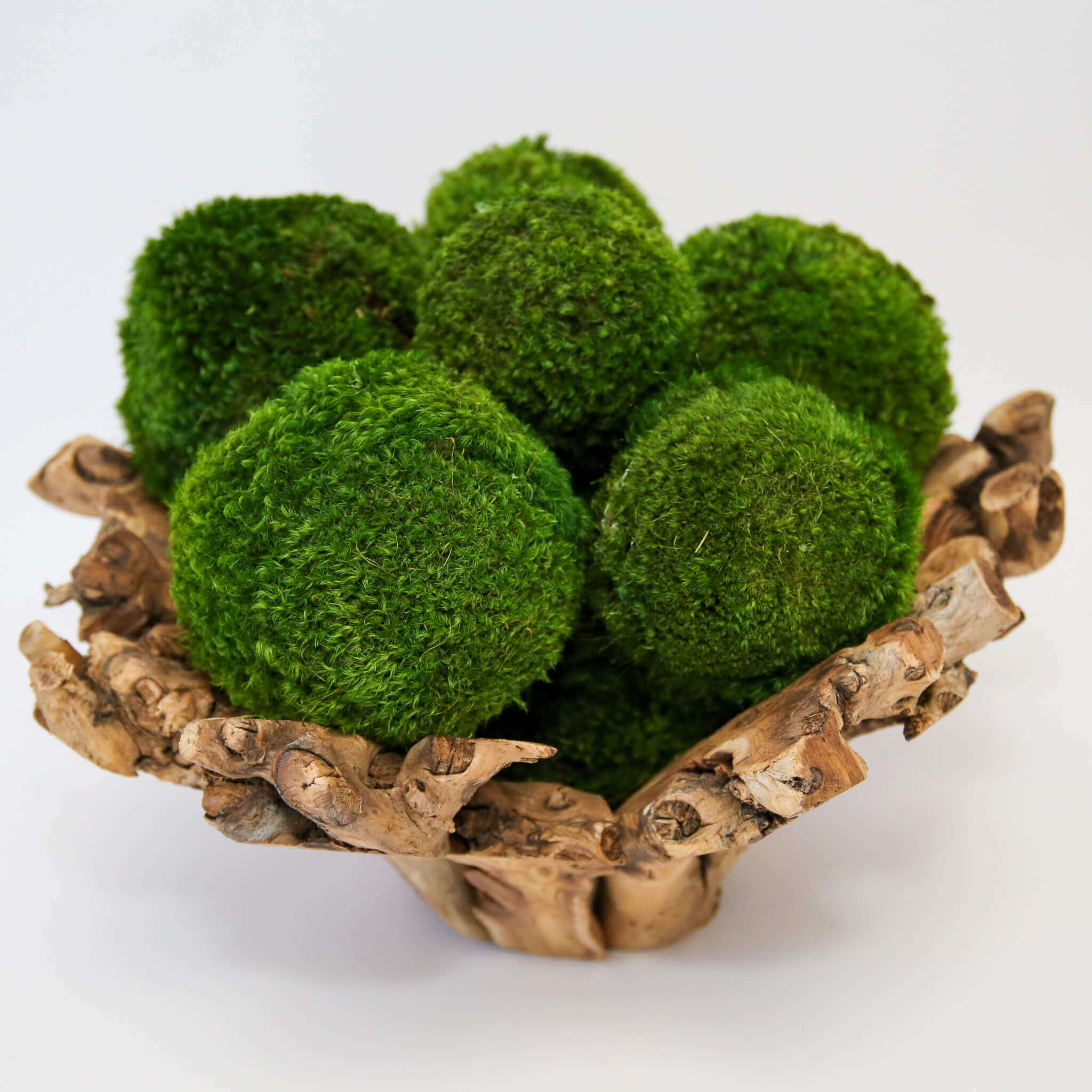 Moss and Decorative Wood