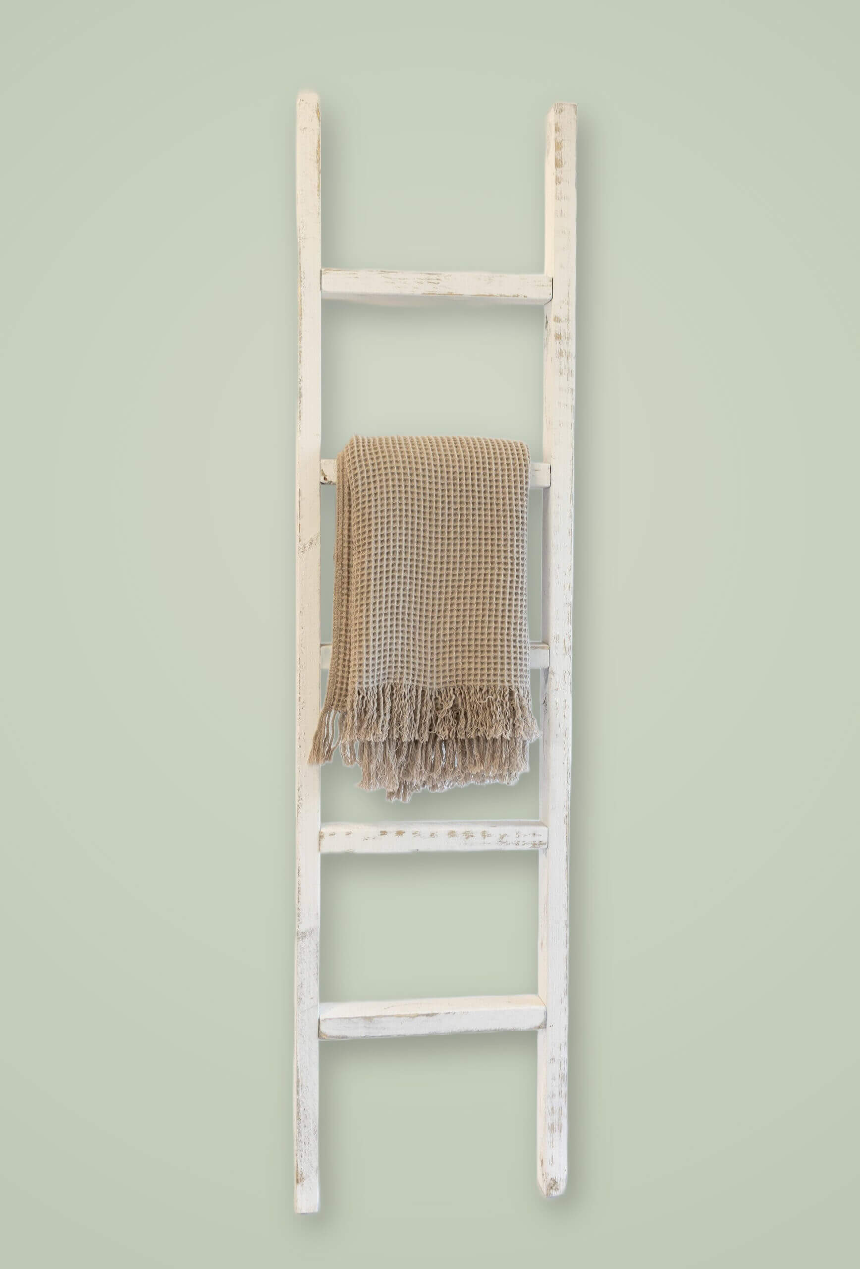 Hand Crafted Trays and Ladders