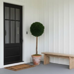 Preserved Juniper Lollipop Topiary Tree – 40"