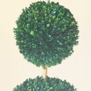 60" Triple Ball Boxwood Topiary