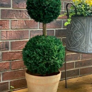 Double Ball Topiary - 30"