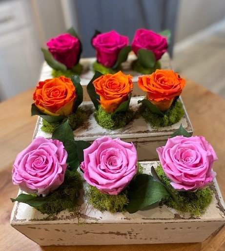 Blooming Roses in Sugar Mold (1 to 12 Hole)
